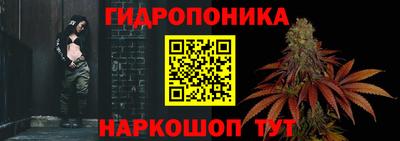 прущие крисы Дубна