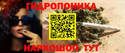 прущие крисы Дубна