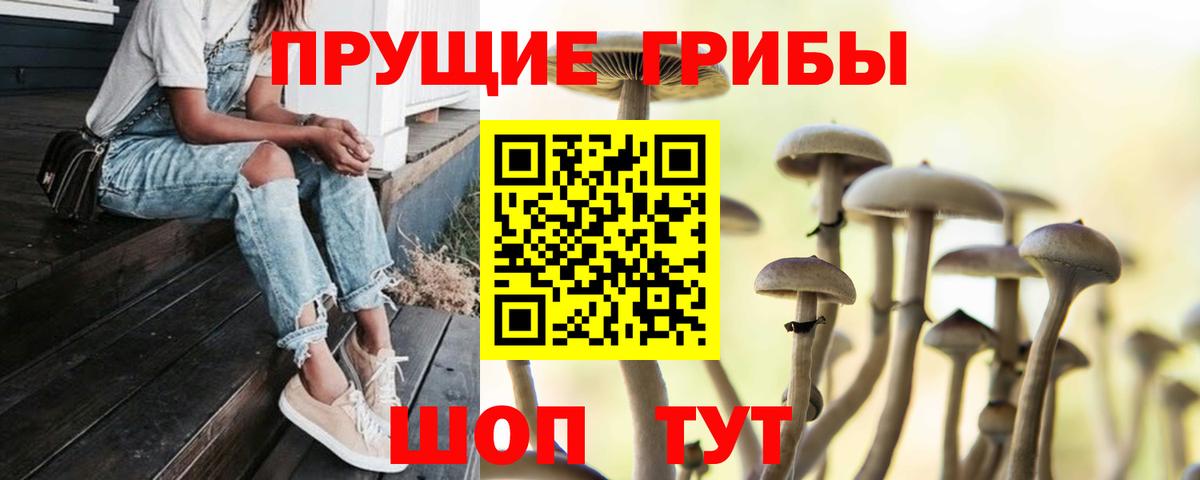 Псилоцибиновые грибы Cubensis  Вход с VPN  Малоярославец 